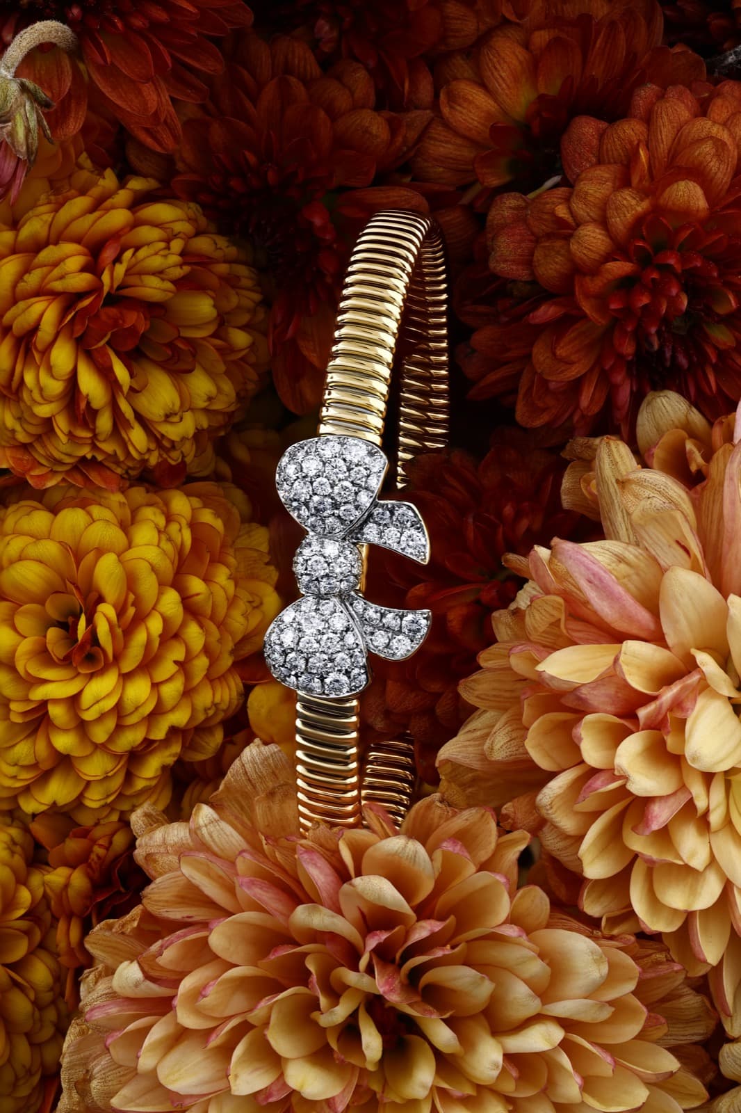Fiocco gold bracelet with a diamond bow, on amber dahlias