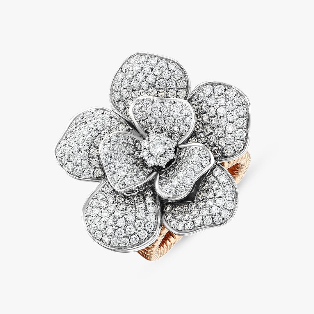 La Rosina Duo - Ring