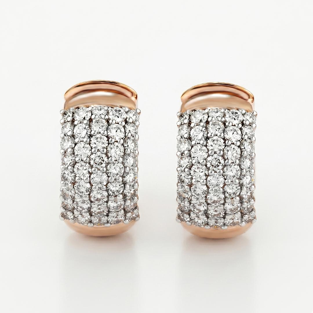 Toledo Sculpted Earrings