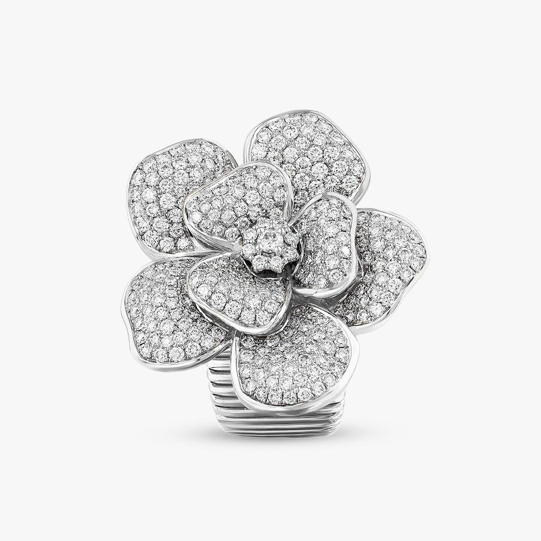 La Rosina Bianca - Ring